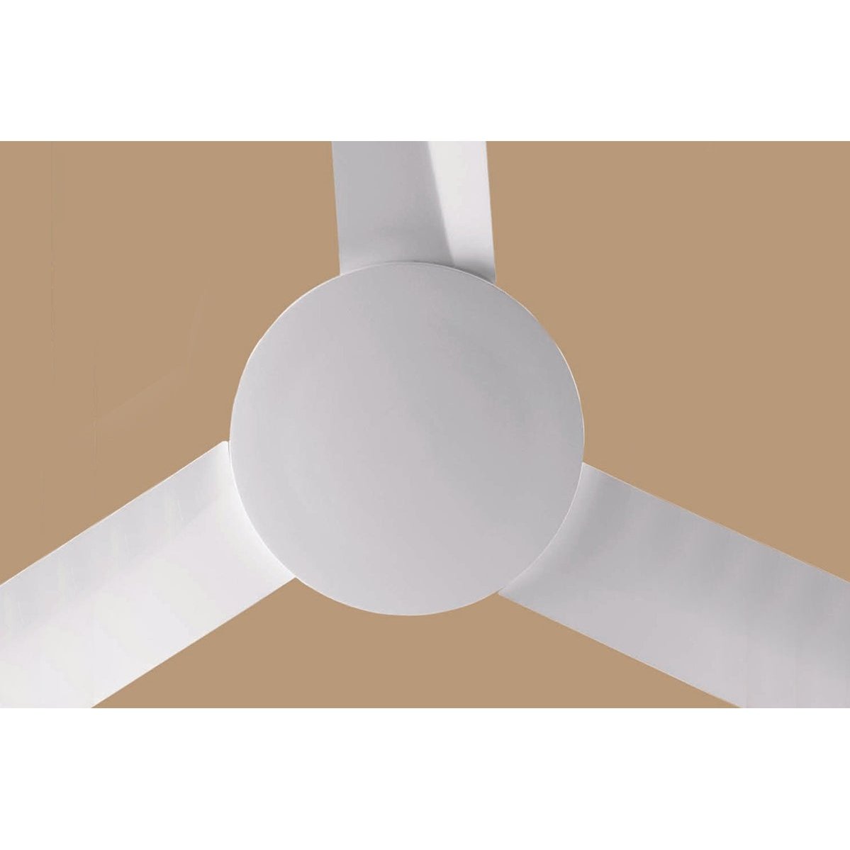 Lantana ceiling fan The Fan Studio